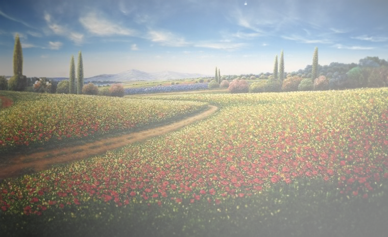 Mario Jung Along the Red Poppy Fields